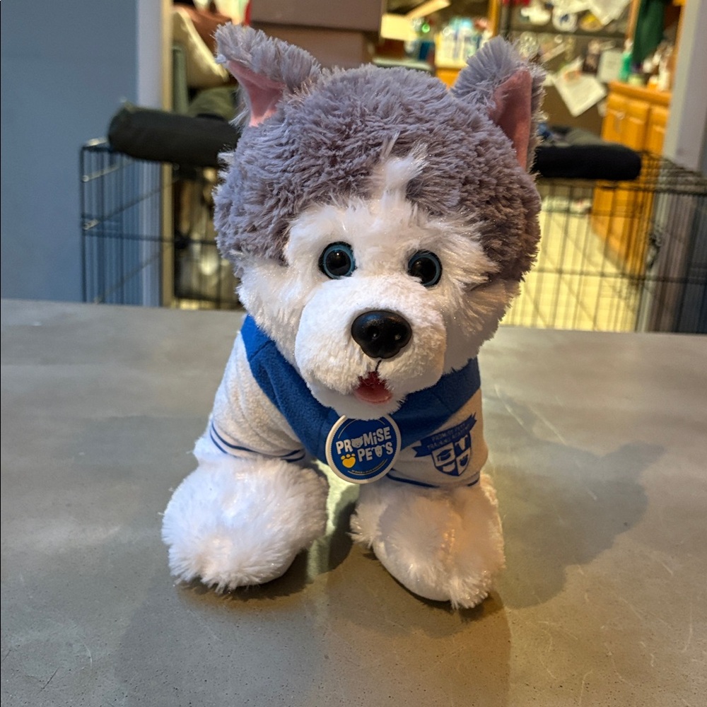 Build a bear Promise Plush Husky Dog Toy - Gray, White, and Blue w sweatshirt